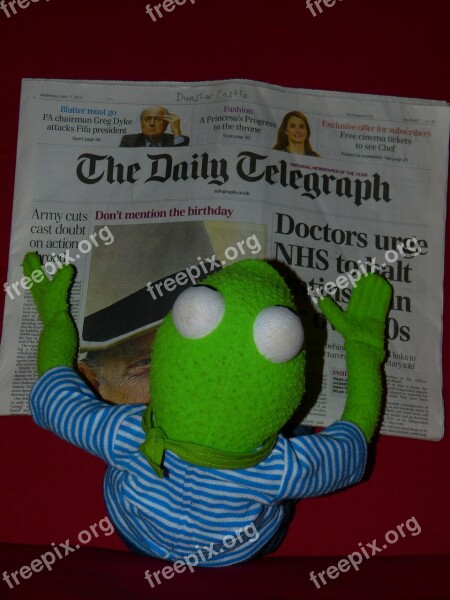 Newspaper Kermit Frog Read Daily Telegraph