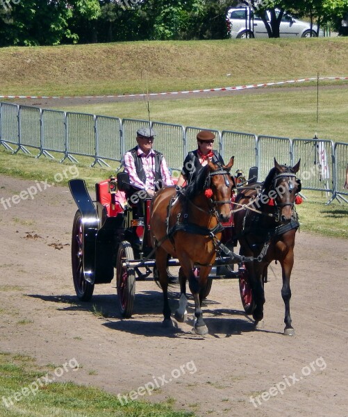 Horse-drawn Carriage The Horse Galop Horses Hooves