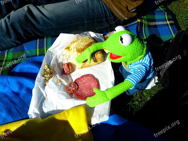 Kermit Frog Eat Picnic Green