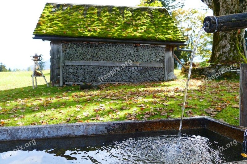 Fountain Wood Stock Hut Scale