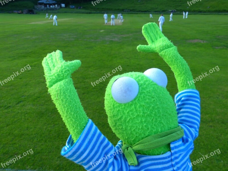 Kermit Cheer Fan Look Forward Frog