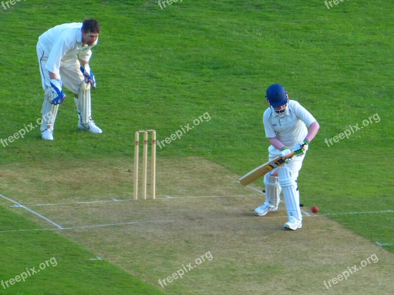 Cricket Team Sports Thrower Throw Batsman