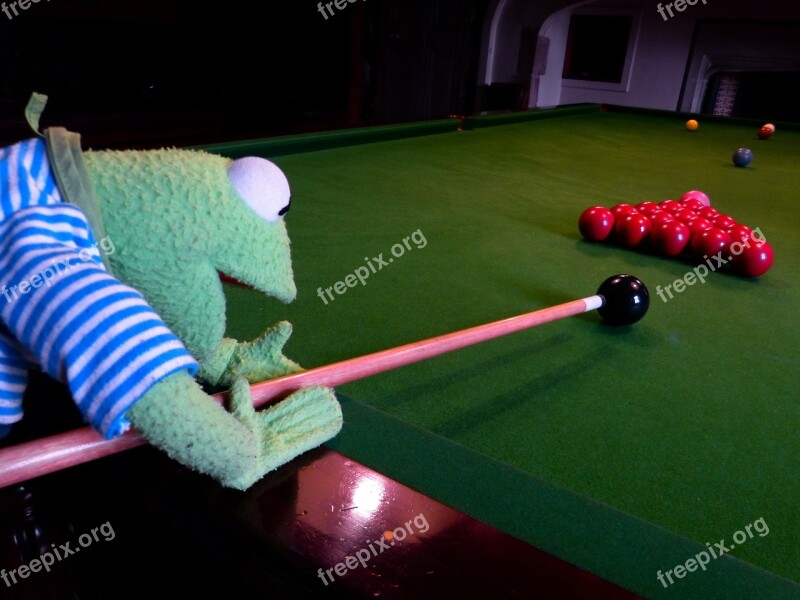 Kermit Frog Billiards Balls Black