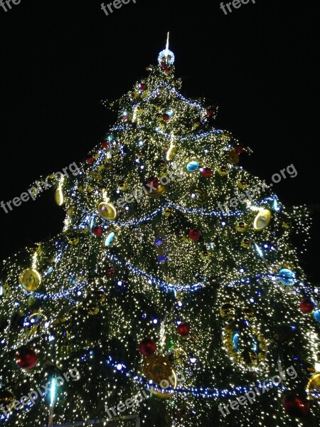 Christmas Tree Christmas Time Christmas Prague Free Photos