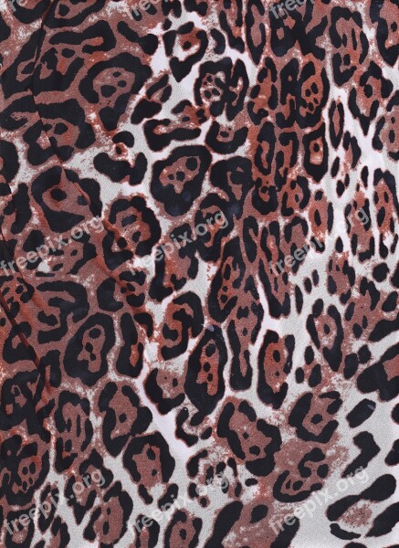 Pattern Leopard Cheetah Brown Paper