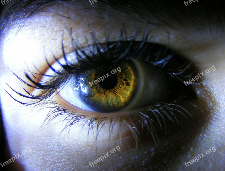 Eye Brown Yellow Light Iris