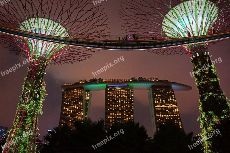 Marina Bay Big Tree Gardens By The Bay Singapore Night