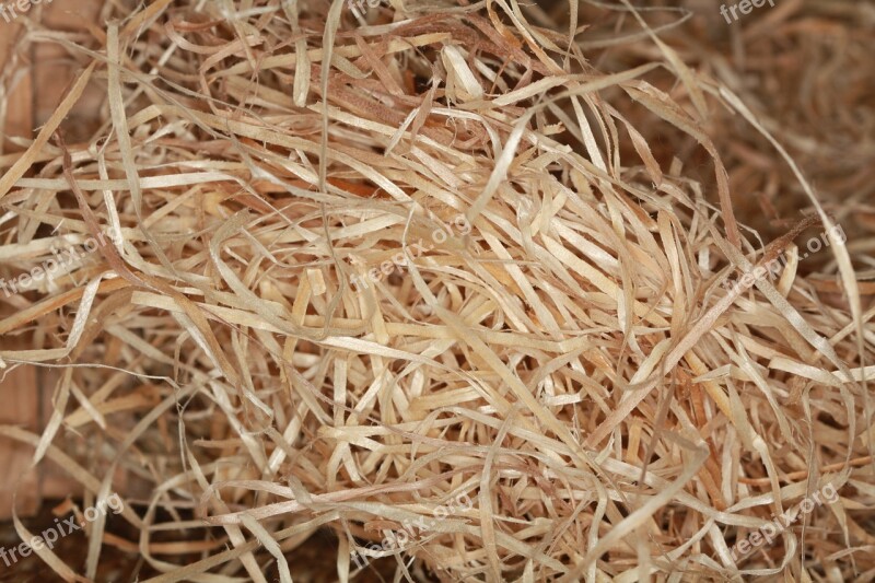 Wood Wool Chips Wood Wood Chips Close Up