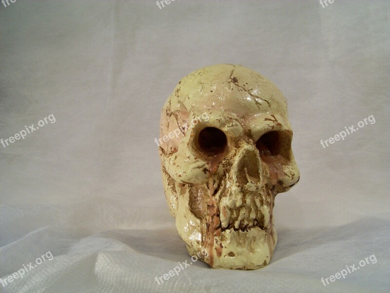 Skull And Crossbones Decorative Items Candle Wax Decoration