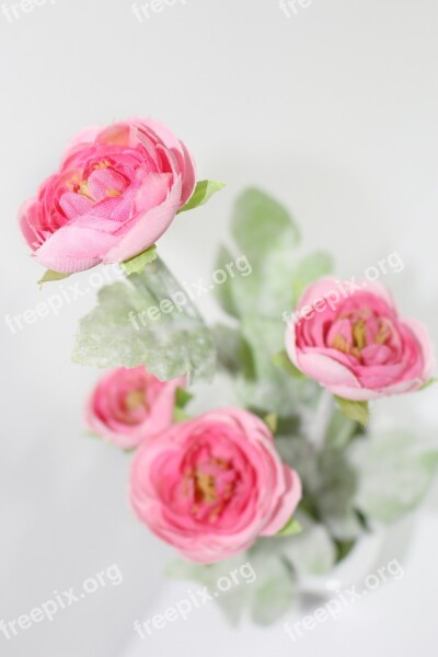 Flowers Potted Plant Harmony Ornament Pink