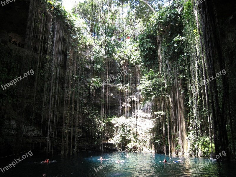 Cancún Pool Jungle Natural Yucatan