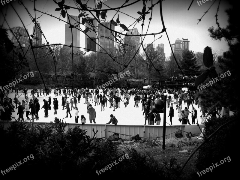 Rink Central Park Sky Park Lake