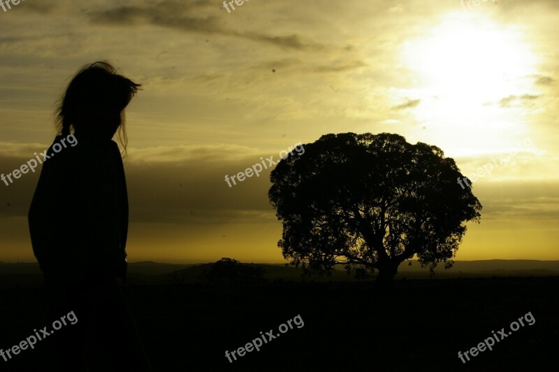 Girl Child Sunset Tree Creativity