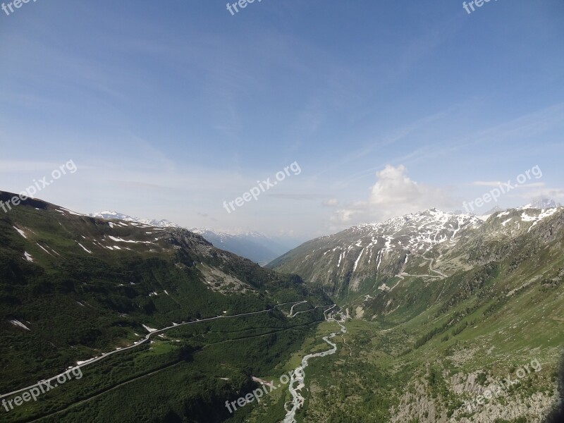 Alpine Cyclamen Pass Road Grimsel Mountains