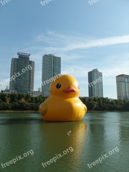 Rubber Duck Jamsil Songpa Seokchon Lake Free Photos