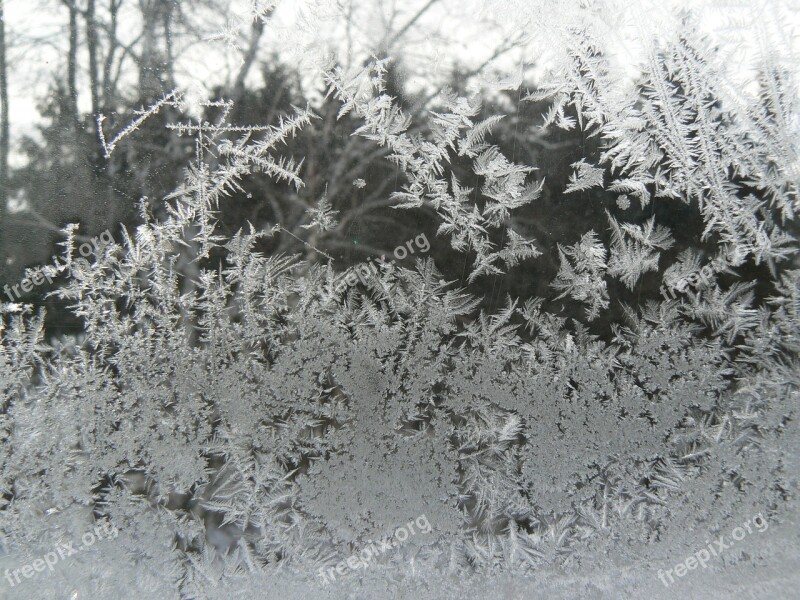 Frost Winter Cold Ice Ice Formations