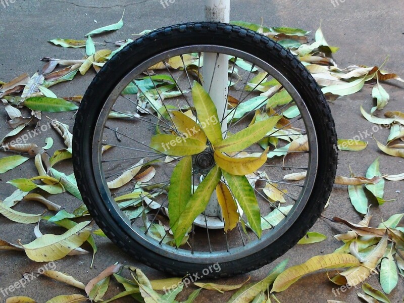 Wheel Bike Stolen Tire Bike Tire