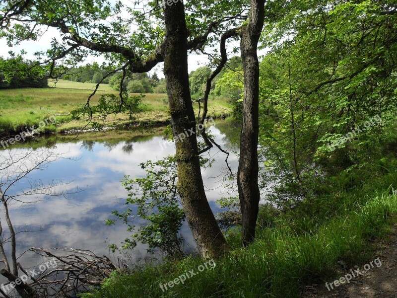 River Calm Water Scenic Scenery