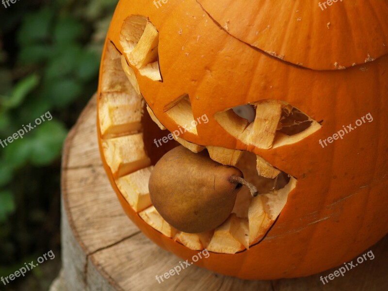 Pumpkin Halloween Pear Vegetable Free Photos