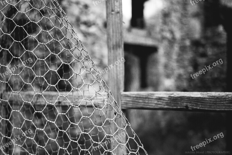 Fence Closing Window Ruins Black And White