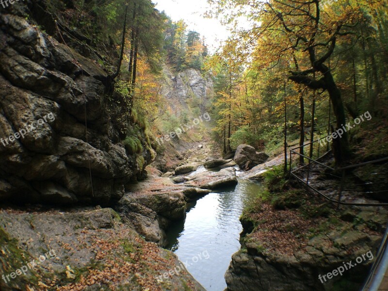 Starzlachklamm Allgäu Sonthofen Bach Forest