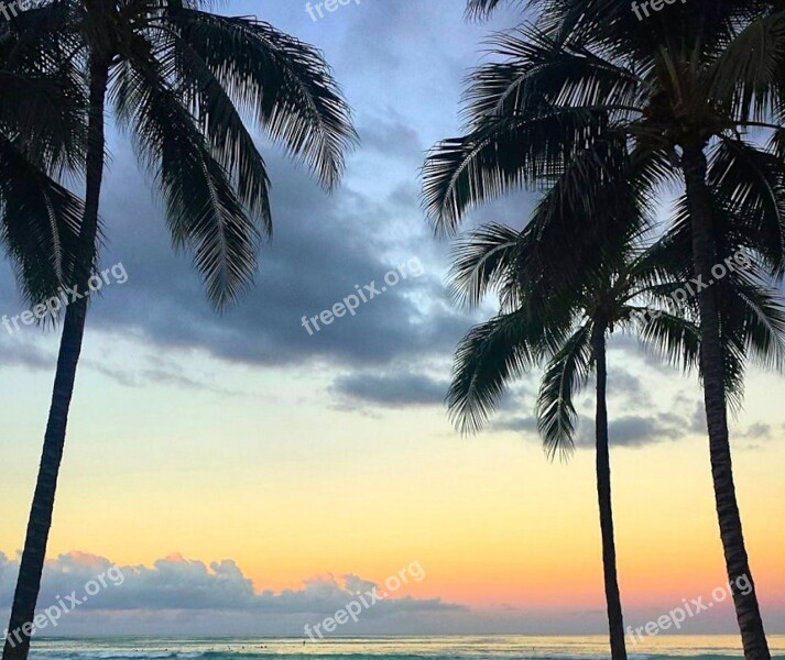 Beach Palm Sunrise Water Tropical