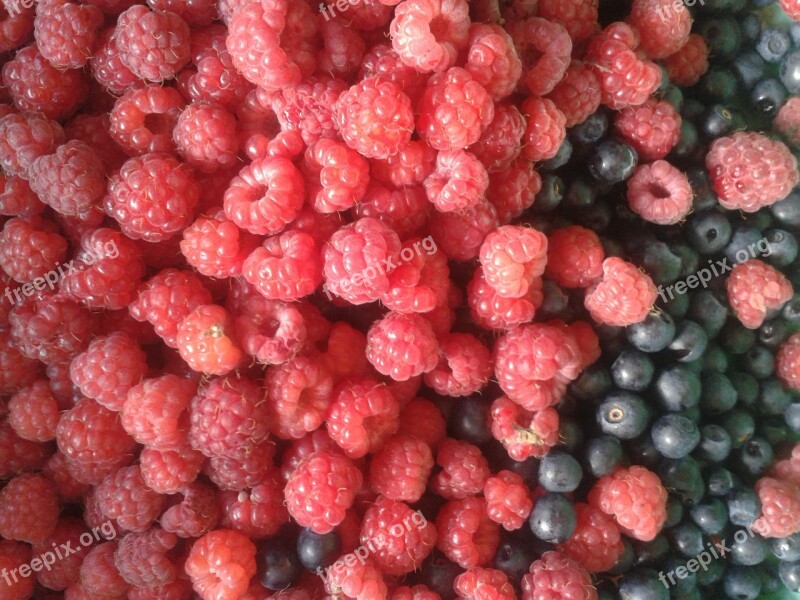 Raspberries Berry Forest Autumn Forest Berries