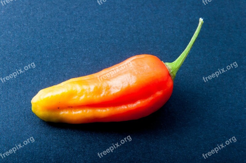 Pepper Chili Orange Bright Sharp