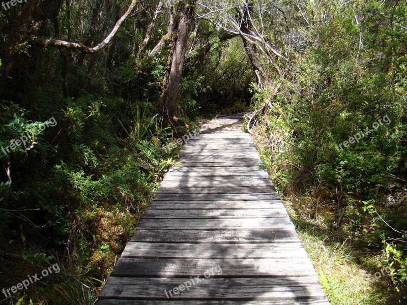 Trail Path Landscape Free Photos