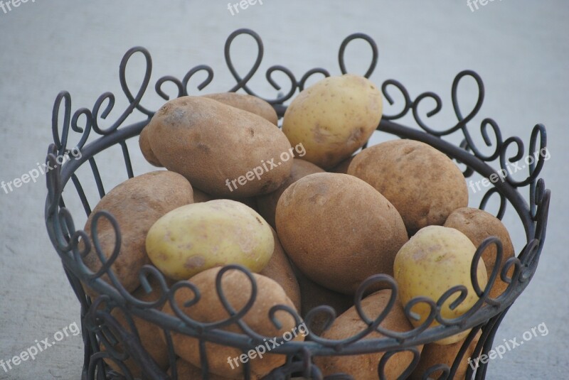 Potato Basket Food Vegetable Harvest