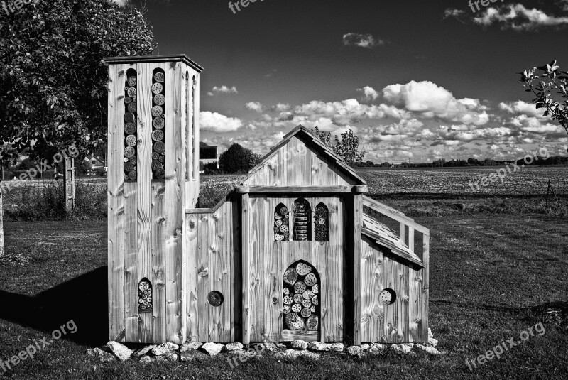 A Shelter Insects Landscape Bio Diversity Black And White Miniature