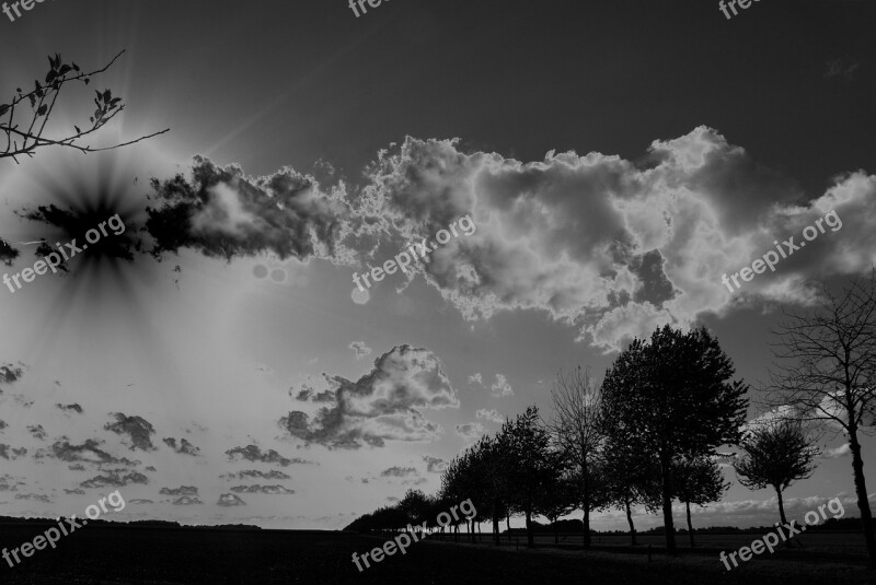 Landscape Trees Rays Black And White Sky