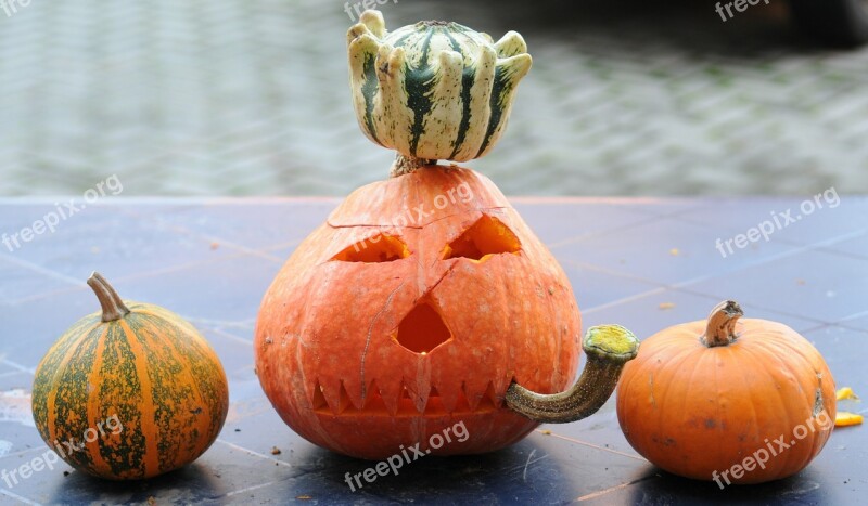 Pumpkin Halloween Pumpkin Ghost Orange Gourd