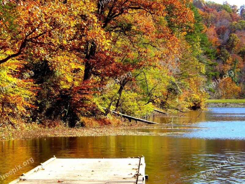 Lake Fall Trees Leaves Autumn