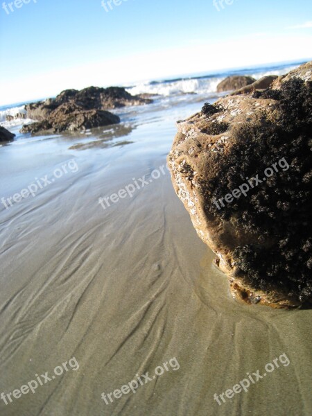 Moeraki Boulders Sea New Zealand Beach Rock