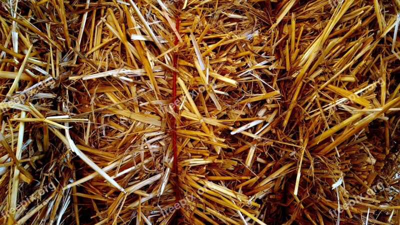 Hay Harvest Texture Golden Farm