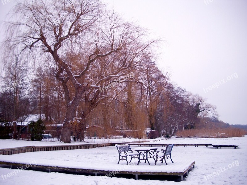 Winter Idyllic Snow Tree Cold