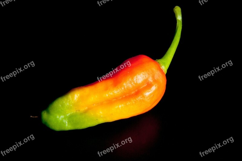 Chili Orange Green Sharp Spice