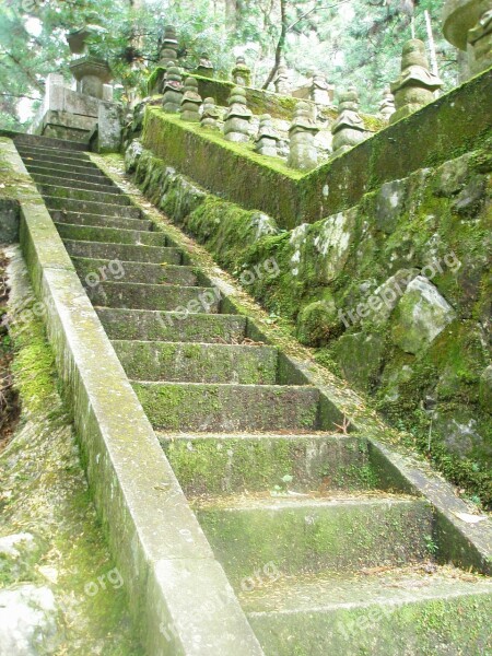 Stairs Moss Green Old Ancient