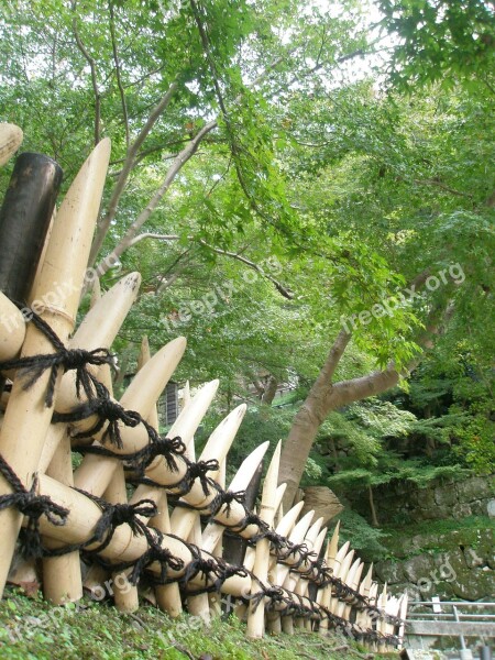 Fence Bamboo Oriental Japan Perspective