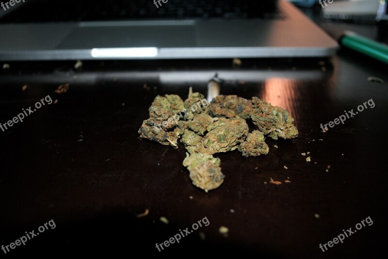 Marijuana Drugged Macbook Smoke Drug