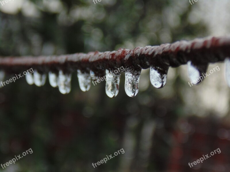 Water Droplets Ice Wire Free Photos