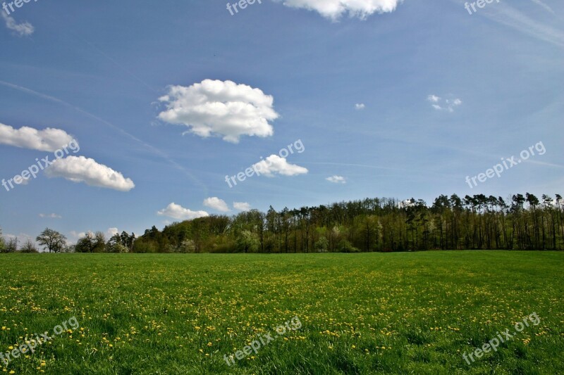 Landscape Spring Hill Forest Edge Of The Woods