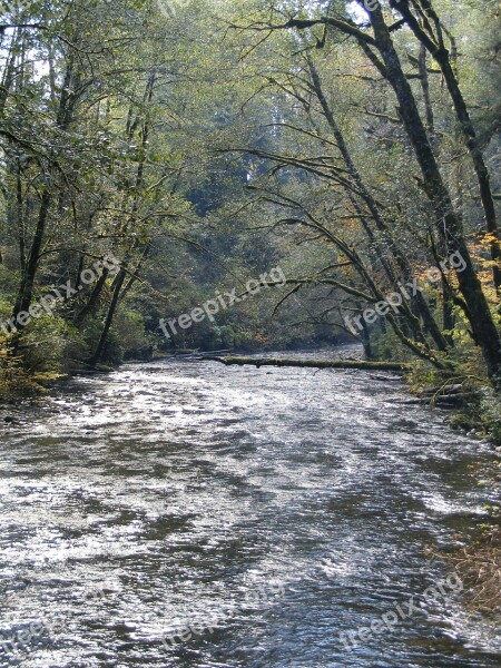 Salmon River Oregon Salmon Water River