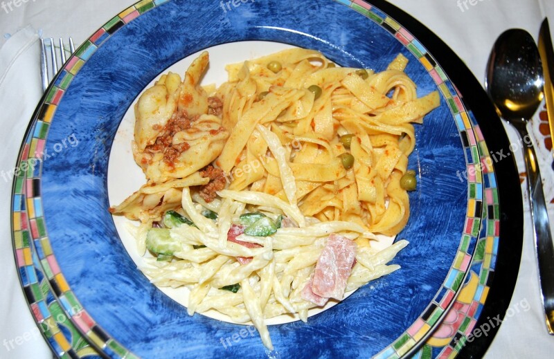 Pasta Dish Italian Noodles Tris