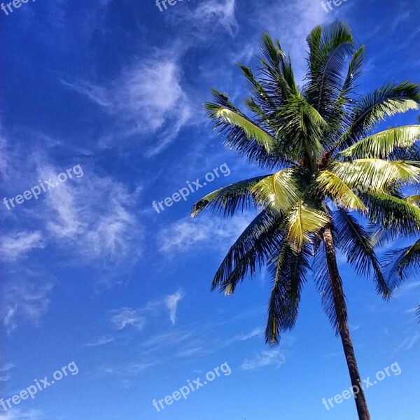 Palm Island Tropical Sky Clouds