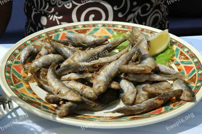 Sardines Eat Fish Dine Cook