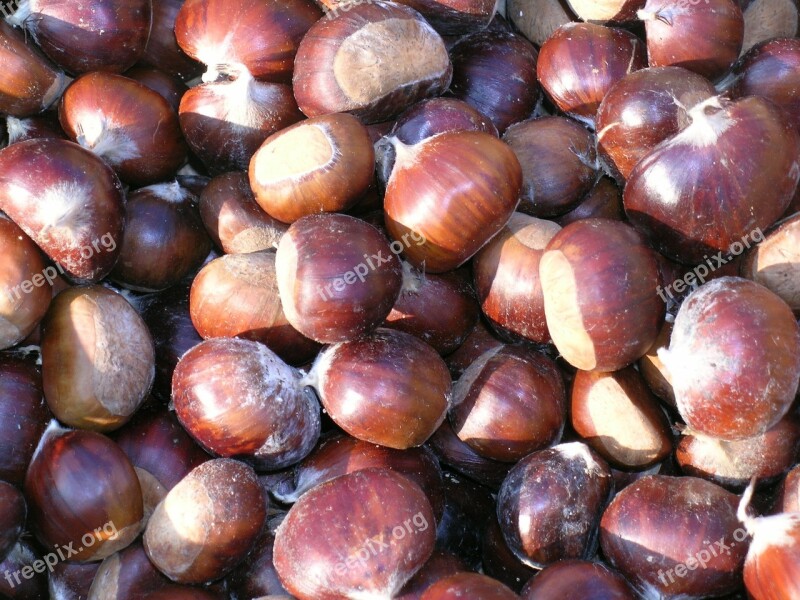 Chestnuts Autumn Fruit Free Photos