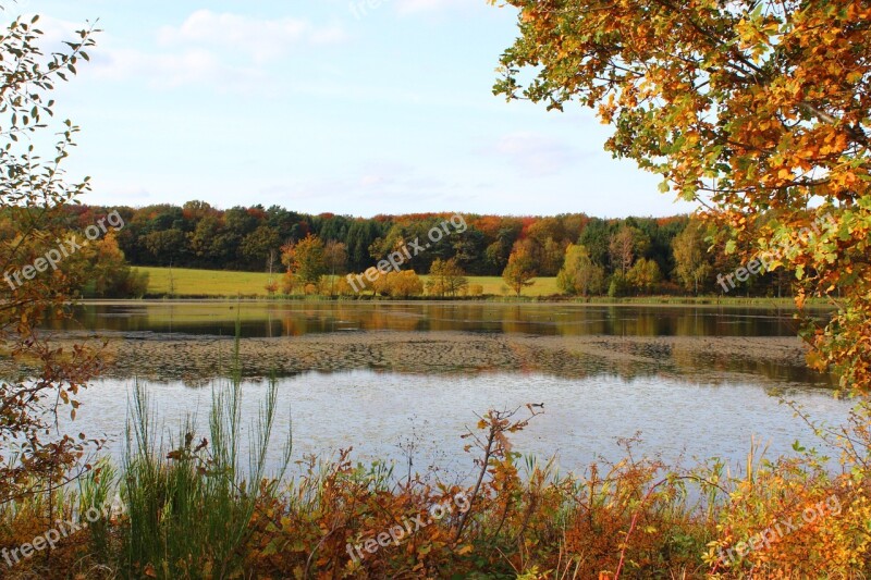 Rodder Maar Autumn Leaves Nature Maar