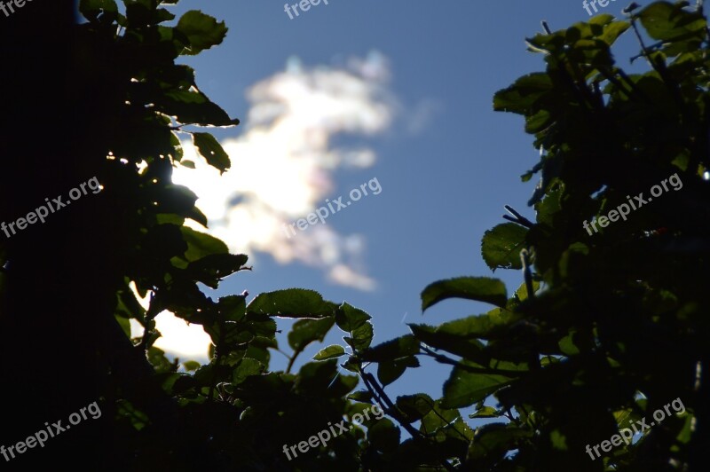 Cloud Light Backlighting Leaves Light Beam